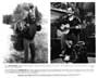 Born in East L.A. - 8 x 10 B&W Photo #3