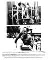 Born in East L.A. - 8 x 10 B&W Photo #4
