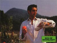 Box of Moonlight - 8 x 10 Color Photo #4