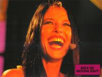 Box of Moonlight - 8 x 10 Color Photo #5