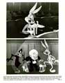 Box-Office Bunny - 8 x 10 B&W Photo #1