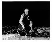Boy Cried Murder - 8 x 10 B&W Photo #3