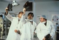 Brain Donors - 8 x 10 Color Photo #2