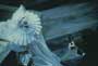 Bram Stoker's Dracula - 8 x 10 Color Photo #17