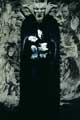 Bram Stoker's Dracula - 8 x 10 Color Photo #21