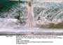Bridget Jones: The Edge of Reason - 8 x 10 Color Photo #3