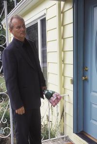 Broken Flowers - 8 x 10 Color Photo #1