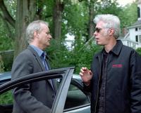 Broken Flowers - 8 x 10 Color Photo #2