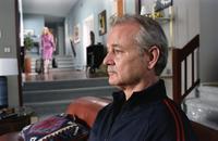 Broken Flowers - 8 x 10 Color Photo #15