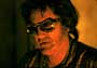 Bubba Ho-tep - 8 x 10 Color Photo #8