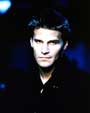 Buffy The Vampire Slayer (TV) - 8 x 10 Color Photo #022