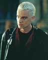 Buffy The Vampire Slayer (TV) - 8 x 10 Color Photo #070