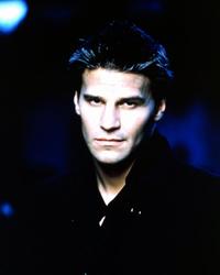 Buffy The Vampire Slayer (TV) - 8 x 10 Color Photo #022