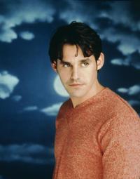 Buffy The Vampire Slayer (TV) - 8 x 10 Color Photo #047