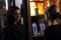 Buffy The Vampire Slayer (TV) - 8 x 10 Color Photo #082