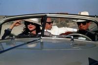 Bugsy - 8 x 10 Color Photo #1