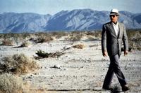 Bugsy - 8 x 10 Color Photo #5