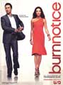 Burn Notice (TV) - 27 x 40 TV Poster - Style A