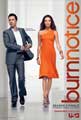 Burn Notice (TV) - 11 x 17 TV Poster - Style C