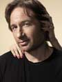Californication (TV) - 8 x 10 Color Photo #002