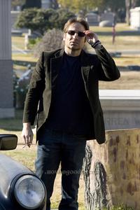 Californication (TV) - 8 x 10 Color Photo #003