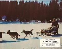 Call of the Wild - 8 x 10 Color Photo #1
