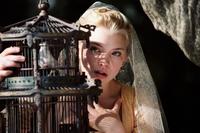 Casanova - 8 x 10 Color Photo #29