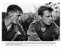 Casualties of War - 8 x 10 B&W Photo #6
