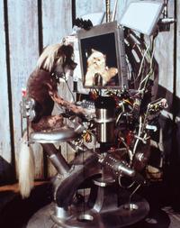 Cats & Dogs - 8 x 10 Color Photo #2