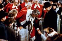 Challenge to Lassie - 8 x 10 Color Photo #1