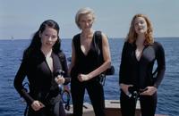 Charlie's Angels: Full Throttle - 8 x 10 Color Photo #43