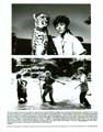 Cheetah and Friends - 8 x 10 B&W Photo #1