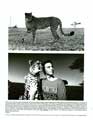 Cheetah and Friends - 8 x 10 B&W Photo #2