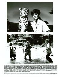 Cheetah and Friends - 8 x 10 B&W Photo #1