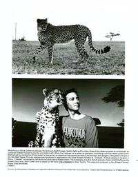 Cheetah and Friends - 8 x 10 B&W Photo #2