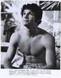 The Chicken Chronicles - 8 x 10 B&W Photo #9