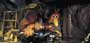 Chicken Run - 8 x 10 Color Photo #12