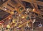 Chicken Run - 8 x 10 Color Photo #14