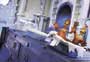 Chicken Run - 8 x 10 Color Photo #33