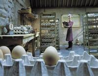 Chicken Run - 8 x 10 Color Photo #13