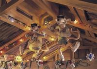 Chicken Run - 8 x 10 Color Photo #14