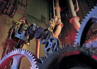 Chicken Run - 8 x 10 Color Photo #16