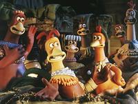 Chicken Run - 8 x 10 Color Photo #23