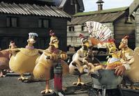 Chicken Run - 8 x 10 Color Photo #27