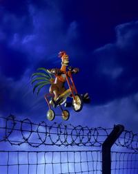 Chicken Run - 8 x 10 Color Photo #28