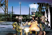 Chicken Run - 8 x 10 Color Photo #30