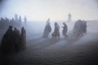 Children of Dune - 8 x 10 Color Photo #24