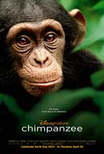 Chimpanzee - 27 x 40 Movie Poster