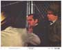 Chinatown - 8 x 10 Color Photo #1