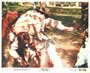 Chinatown - 8 x 10 Color Photo #5
